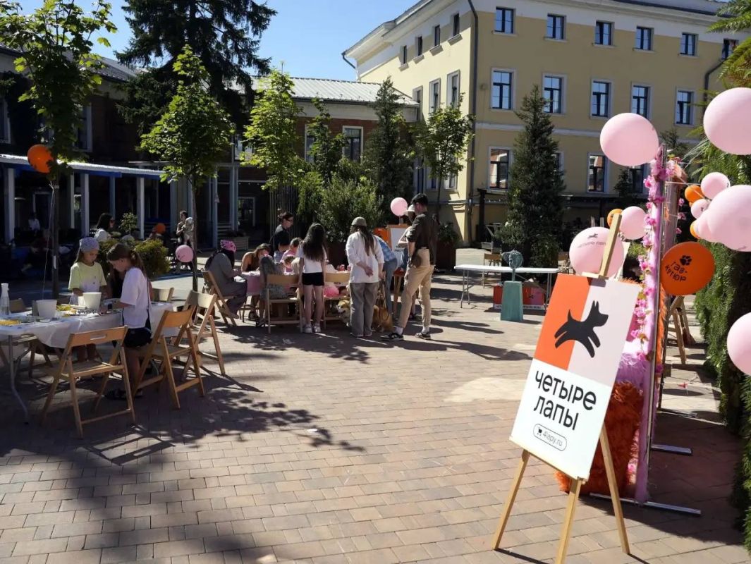 В Туле прошёл первый модный показ для собак «Гав-кутюр» В Туле прошёл первый модный показ для собак «Гав-кутюр»