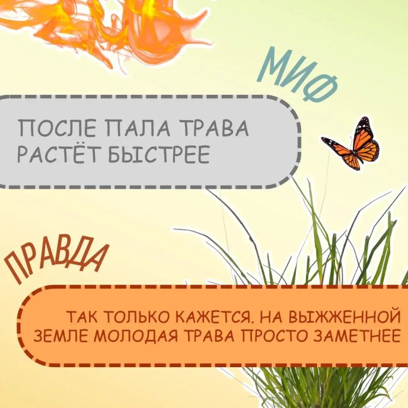 #СоветМЧС. Само потухнет… На самом деле это один из самых опасных мифов #СоветМЧС. Само потухнет… На самом деле это один из самых опасных мифов