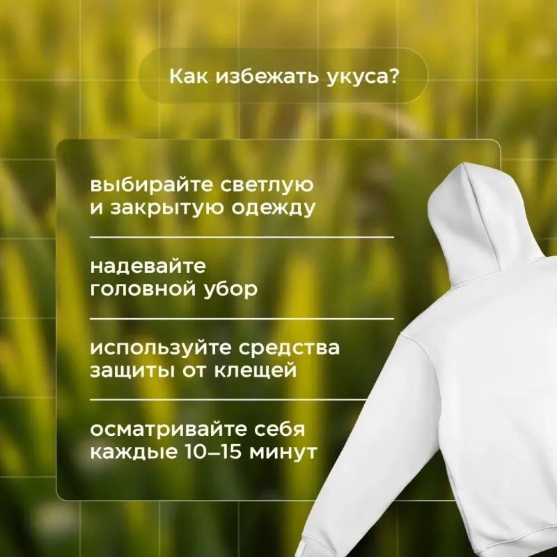 Статистика тоже кусается. Специалисты исследовали уже более 3 000 клещей Статистика тоже кусается. Специалисты исследовали уже более 3 000 клещей