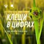 Статистика тоже кусается. Специалисты исследовали уже более 3 000 клещей