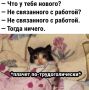 ����������� ��������� ����� �� ��������