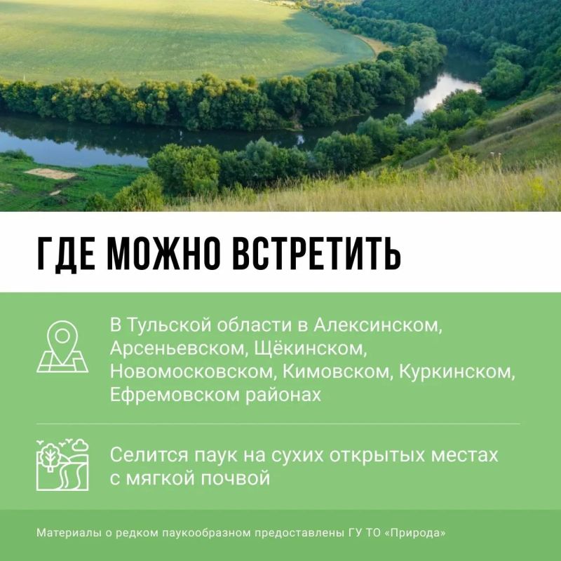 Осторожно, кусается! Вы знали, что на территории Тульской области обитает Осторожно, кусается! Вы знали, что на территории Тульской области обитает