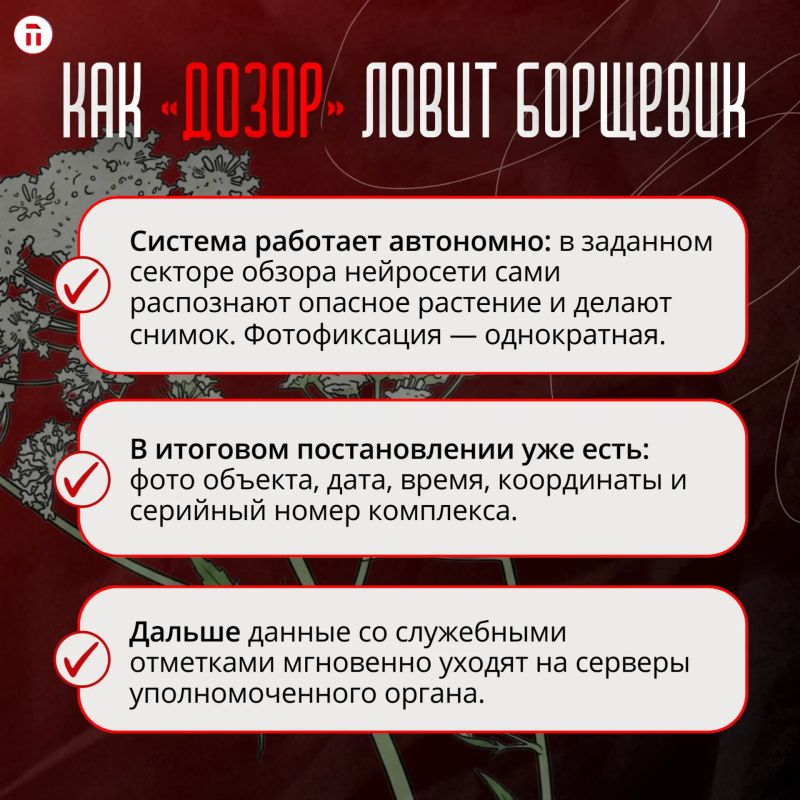 В Туле ИИ (нет, не Илья Ильич Беспалов) вышел на борьбу с борщевиком В Туле ИИ (нет, не Илья Ильич Беспалов) вышел на борьбу с борщевиком