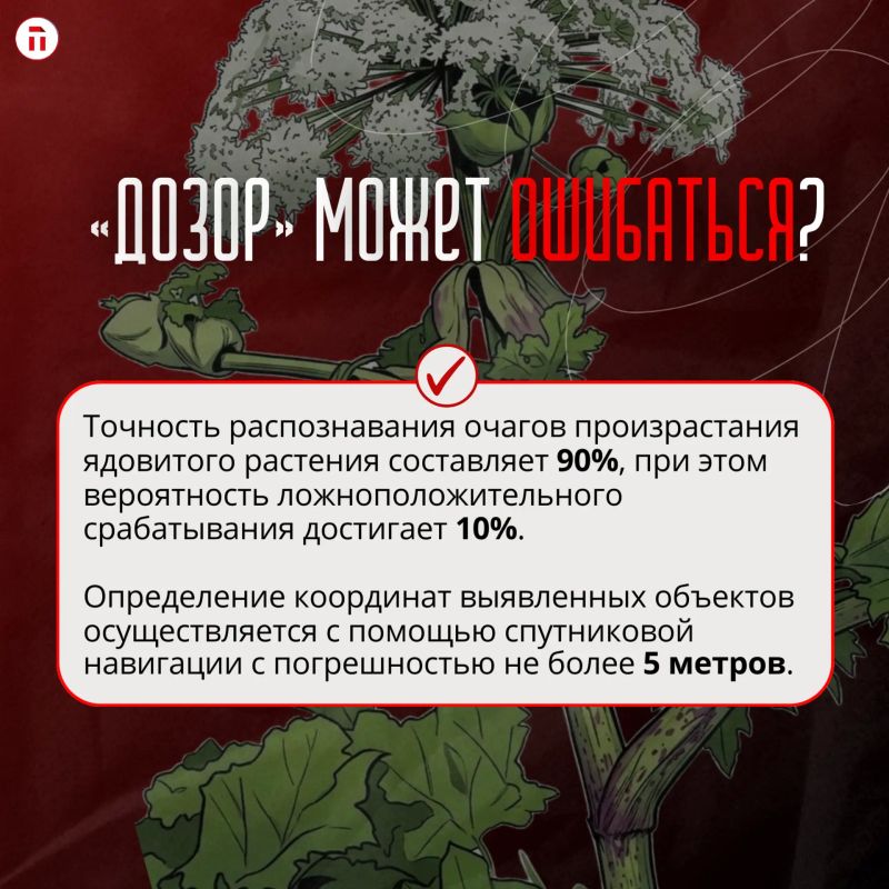 В Туле ИИ (нет, не Илья Ильич Беспалов) вышел на борьбу с борщевиком В Туле ИИ (нет, не Илья Ильич Беспалов) вышел на борьбу с борщевиком