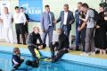 �������� ��� ������: ��� � �������� ������� �������� ��������� ��� ������� ����� �����