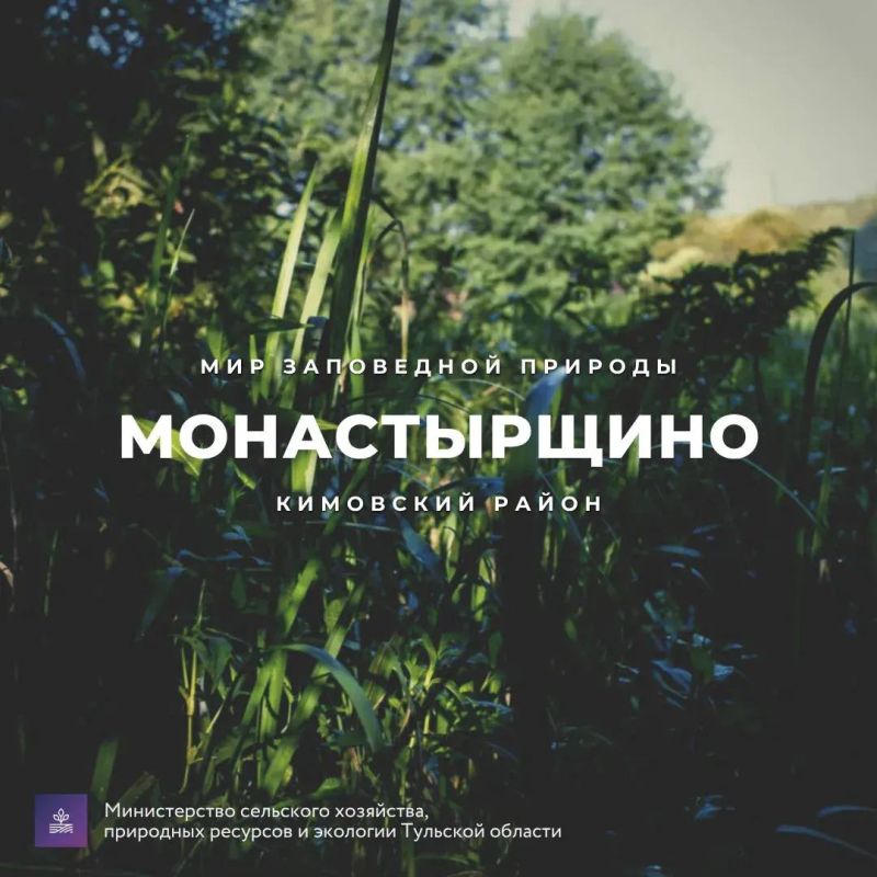 Дмитрий Миляев: #Красотародногокрая. Монастырщино
