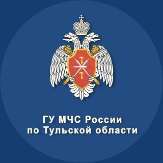 В детском лагере «Орлёнок» сотрудники МЧС России провели урок безопасности В детском лагере «Орлёнок» сотрудники МЧС России провели урок безопасности