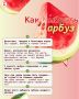 Ежегодно 3 августа отмечается «вкусный» праздник – День арбуза (вы знаете, чем заняться вечером)