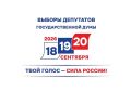 Голосовать, где удобно: как работает «Мобильный избиратель» на выборах в Госдуму