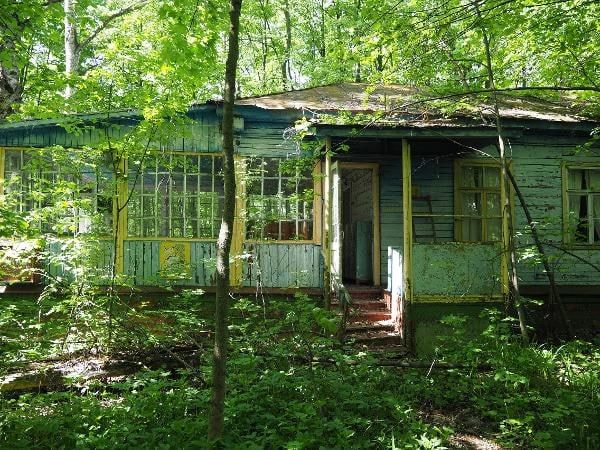 42 заброшки на восьми гектарах: бывший лагерь «Огонек» под Веневом никому не нужен