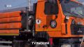 Животным в Туле помогают пережить жару