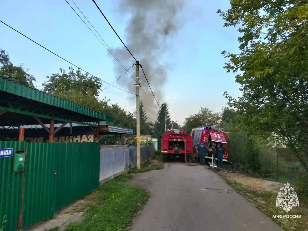 В Тульской области за прошедшие сутки 07 августа В Тульской области за прошедшие сутки 07 августа