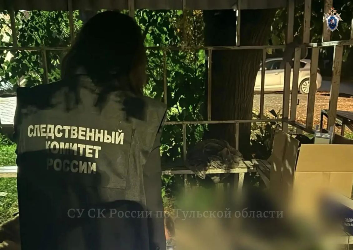 В Щекине пьяная женщина вонзила нож в грудь знакомого В Щекине пьяная женщина вонзила нож в грудь знакомого