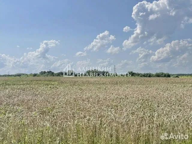 В Кимовском районе сельхозпредприятие продают за почти 350 млн рублей
