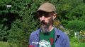 В Тульской области пересчитают всех воробьев