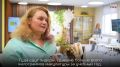 � �������� ������ ����������� � 44 ��������� ������������ �������� ���������� �����������