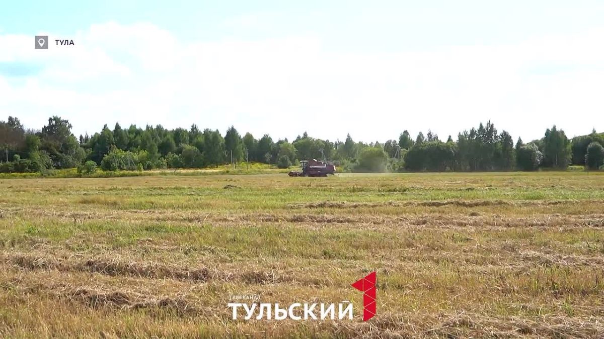 Тульские аграрии показали полный цикл сбора рапса
