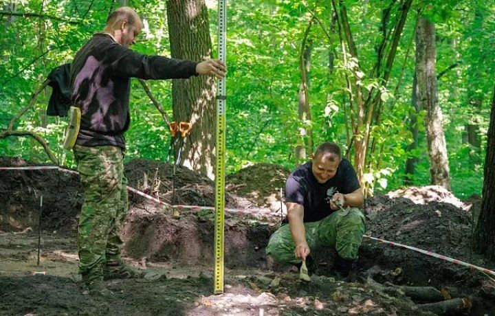 Вскрытие саркофага доказало, что Дмитрий Донской сражался в Куликовской битве»