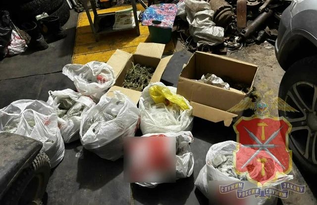 В Донском фермера задержали с 6,5 кг марихуаны В Донском фермера задержали с 6,5 кг марихуаны