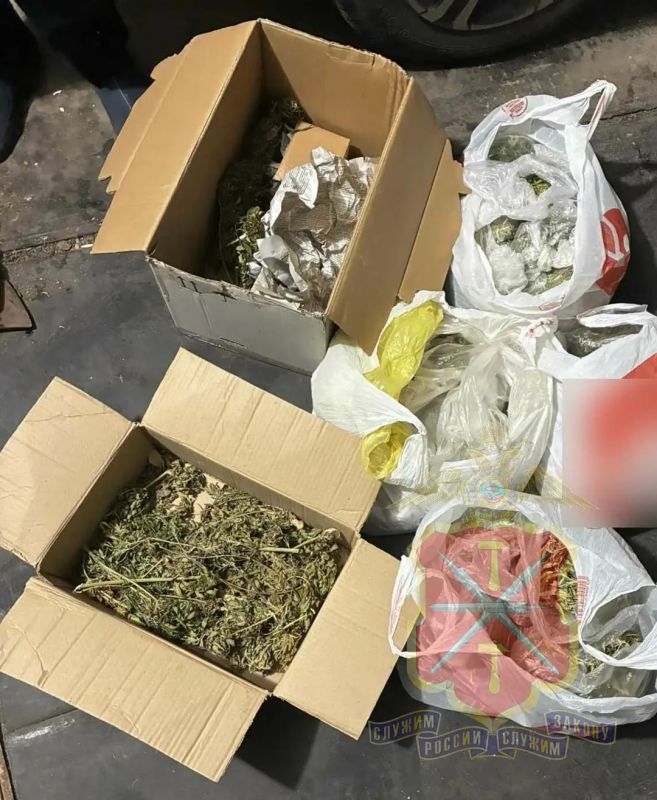 В Донском фермера задержали с 6,5 кг марихуаны В Донском фермера задержали с 6,5 кг марихуаны