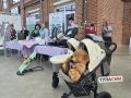 � ������� ������ �������� III �������� ��������������� ����� ������