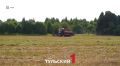 В Тульской области наращивают переработку масличных культур