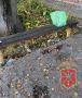 В Алексине полицейские раскрыли убийство «по горячим следам»