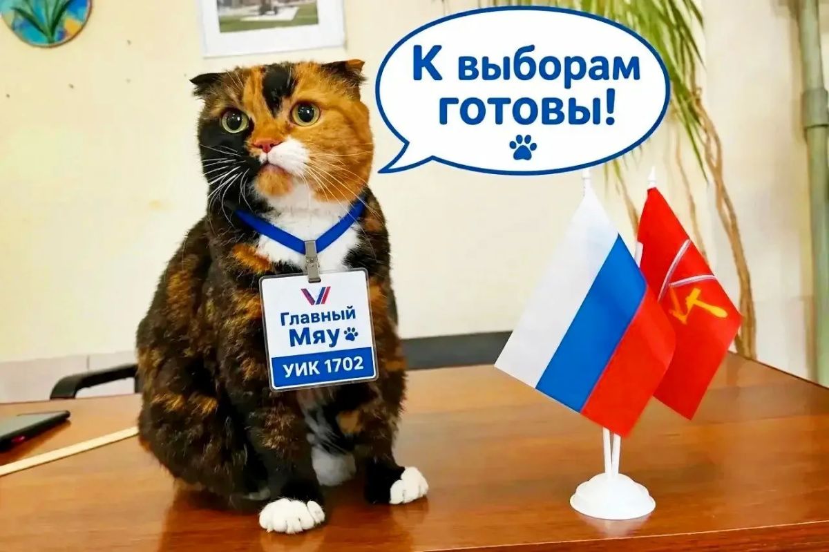 Тульские избиратели голосуют на именных участках