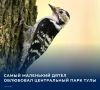 � ����� ��������� � �������� ���������� ������ ������� ������ �������� ����� � ������ ���������� ������������� ����, ���������� � ������ � �������� ����