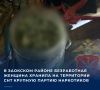 ��� �������� �����-������ ���� ������ �� �������� �������, ���������� ��������� ���������� ����������� �������� � ������� ��������