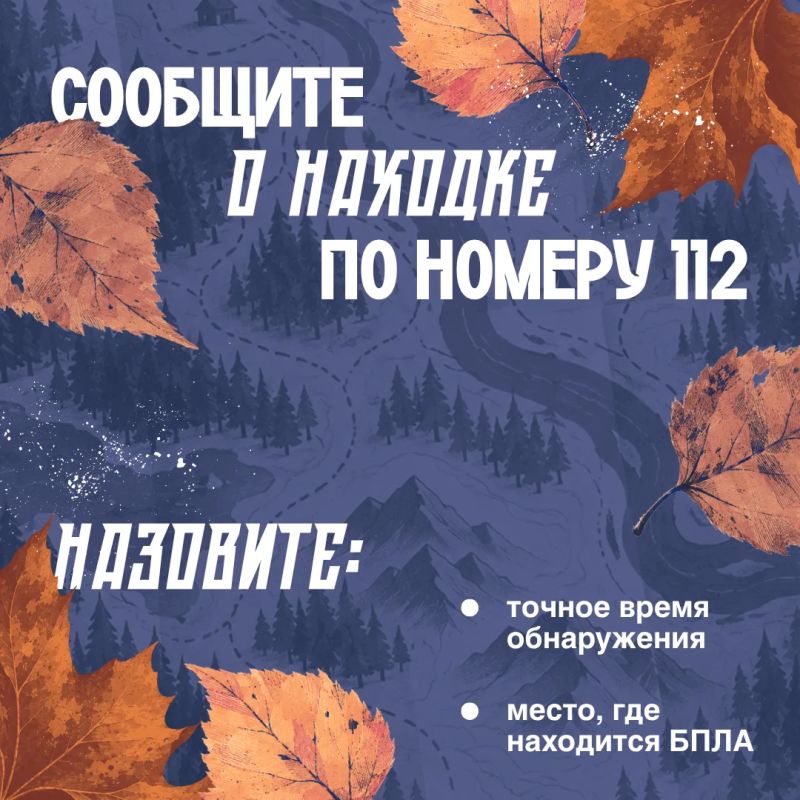 Опаснее мухомора. В лесу можно найти не только грибы, но и беспилотные летательные аппараты Опаснее мухомора. В лесу можно найти не только грибы, но и беспилотные летательные аппараты