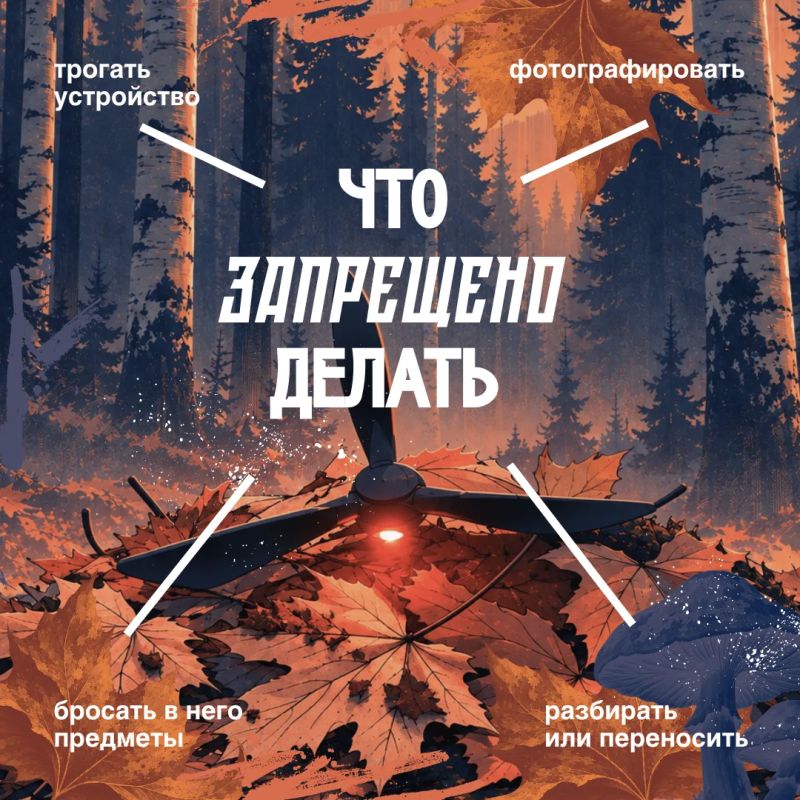 Опаснее мухомора. В лесу можно найти не только грибы, но и беспилотные летательные аппараты Опаснее мухомора. В лесу можно найти не только грибы, но и беспилотные летательные аппараты