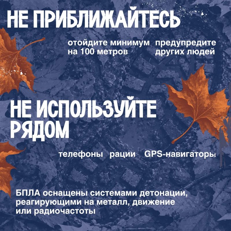 Опаснее мухомора. В лесу можно найти не только грибы, но и беспилотные летательные аппараты Опаснее мухомора. В лесу можно найти не только грибы, но и беспилотные летательные аппараты