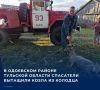 � ��������� ������ �������� ������� ��������� ������� ���������, ��������� � ����