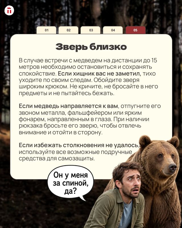 Косолапая угроза: где в Тульской области реально стоит бояться медведей, а где можно спокойно собирать грибы Косолапая угроза: где в Тульской области реально стоит бояться медведей, а где можно спокойно собирать грибы