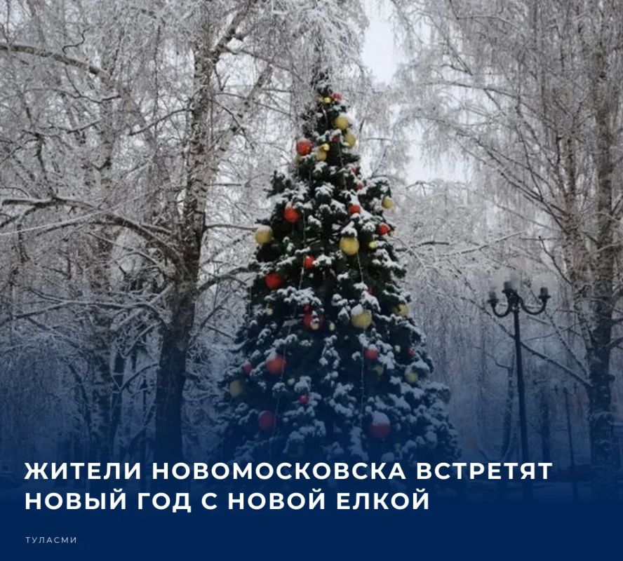 С просьбой обновить главный символ зимнего праздника на оперативном совещании в здании регионального правительства выступил и.о. главы администрации Новомосковска Владимир Токарев