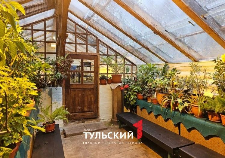 В Ясной Поляне вырос ананас размером с кулак В Ясной Поляне вырос ананас размером с кулак