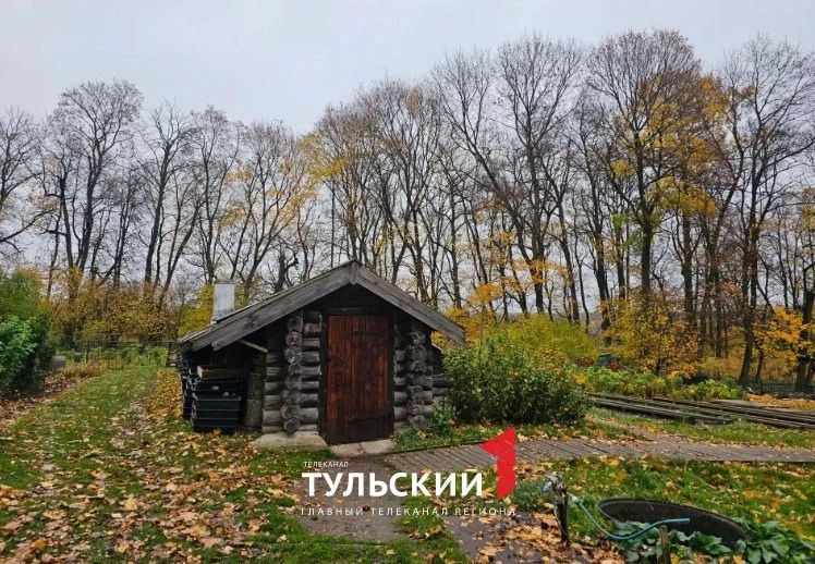 В Ясной Поляне вырос ананас размером с кулак В Ясной Поляне вырос ананас размером с кулак