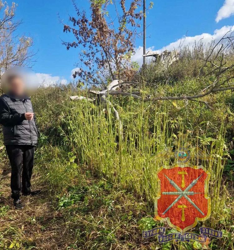 В Белёве полицейскими пресечено незаконное хранение марихуаны в крупном размере В Белёве полицейскими пресечено незаконное хранение марихуаны в крупном размере