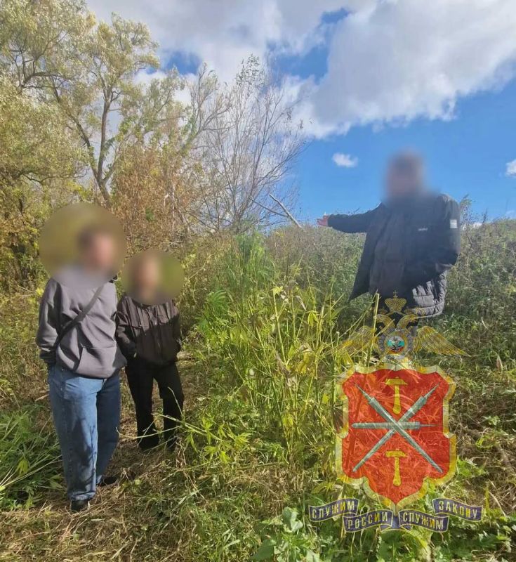 В Белёве полицейскими пресечено незаконное хранение марихуаны в крупном размере В Белёве полицейскими пресечено незаконное хранение марихуаны в крупном размере