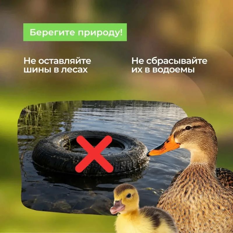 Им не место в обычном мусоре! Им не место в обычном мусоре!